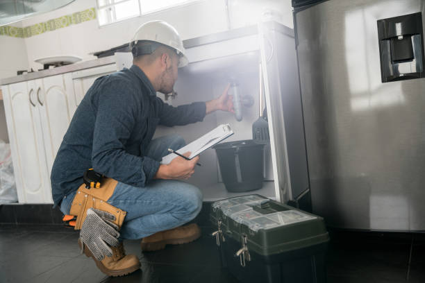 Best Local Plumber Services  in Walcott, IA