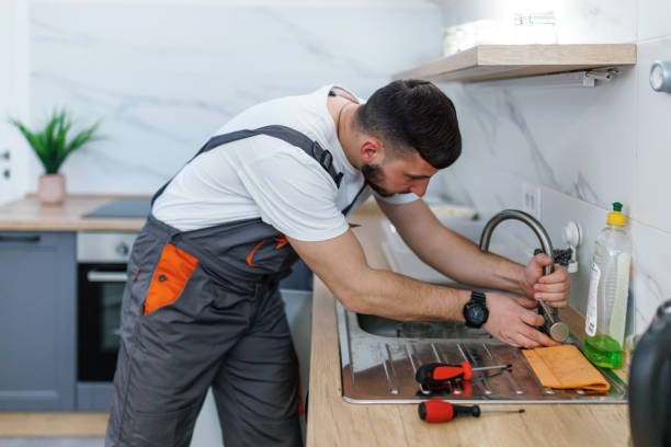 Best Affordable Plumbing Services  in Walcott, IA