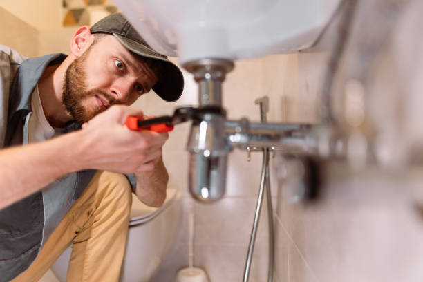 Best Faucet Repair  in Walcott, IA